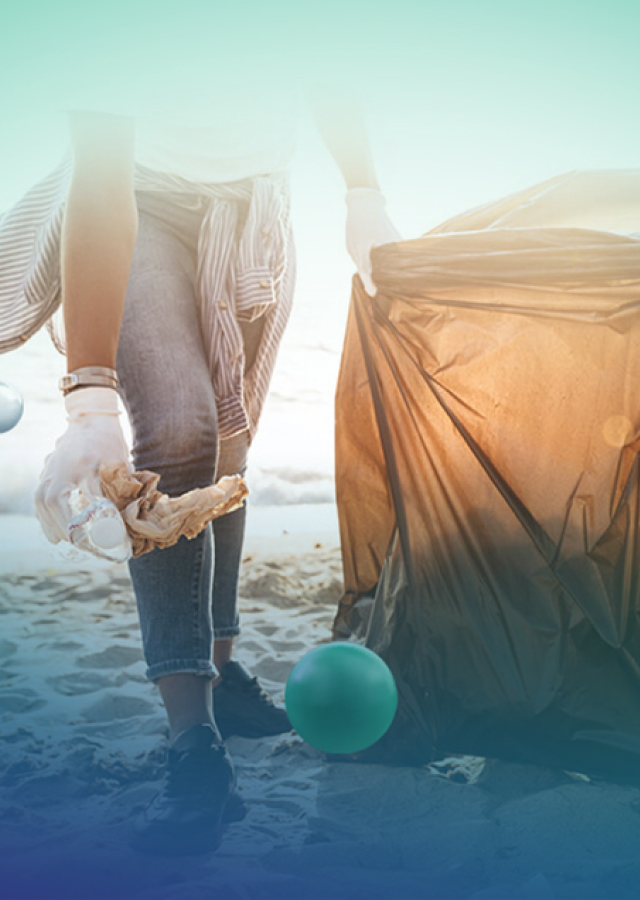 Shoppers, Liners, and Trash Bags