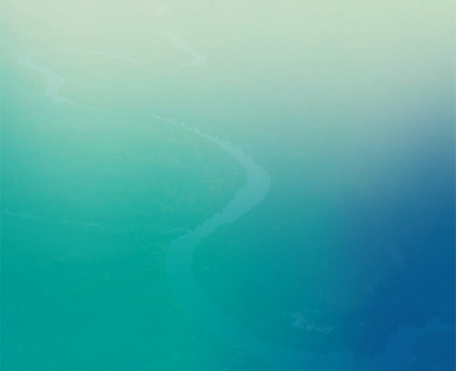 ชนิดของผลิตภัณฑ์