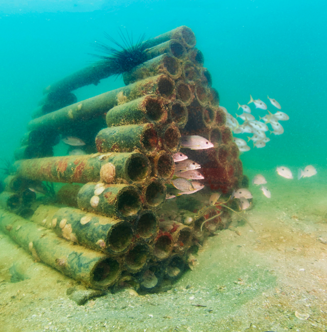 สิ่งแวดล้อม