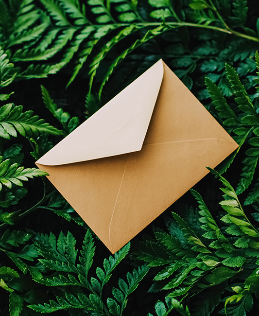 รอการตอบกลับทางอีเมล