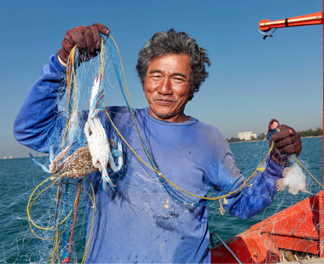 การวิเคราะห์ผู้มีส่วนได้เสีย