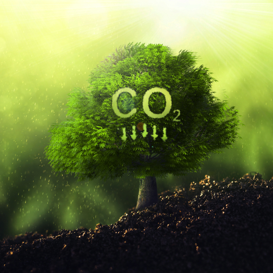 การลดการปล่อย ก๊าซเรือนกระจกทางอ้อม