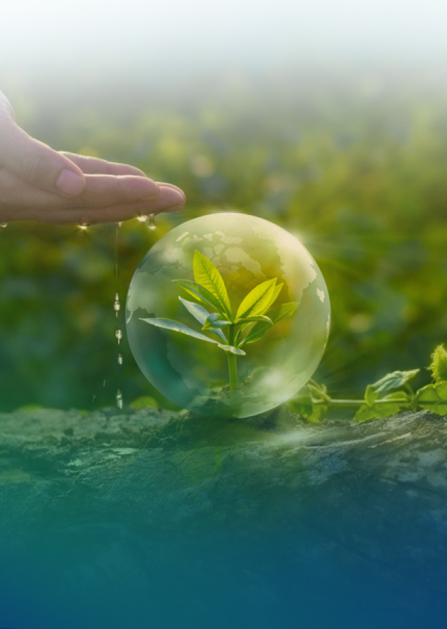  สิ่งแวดล้อม