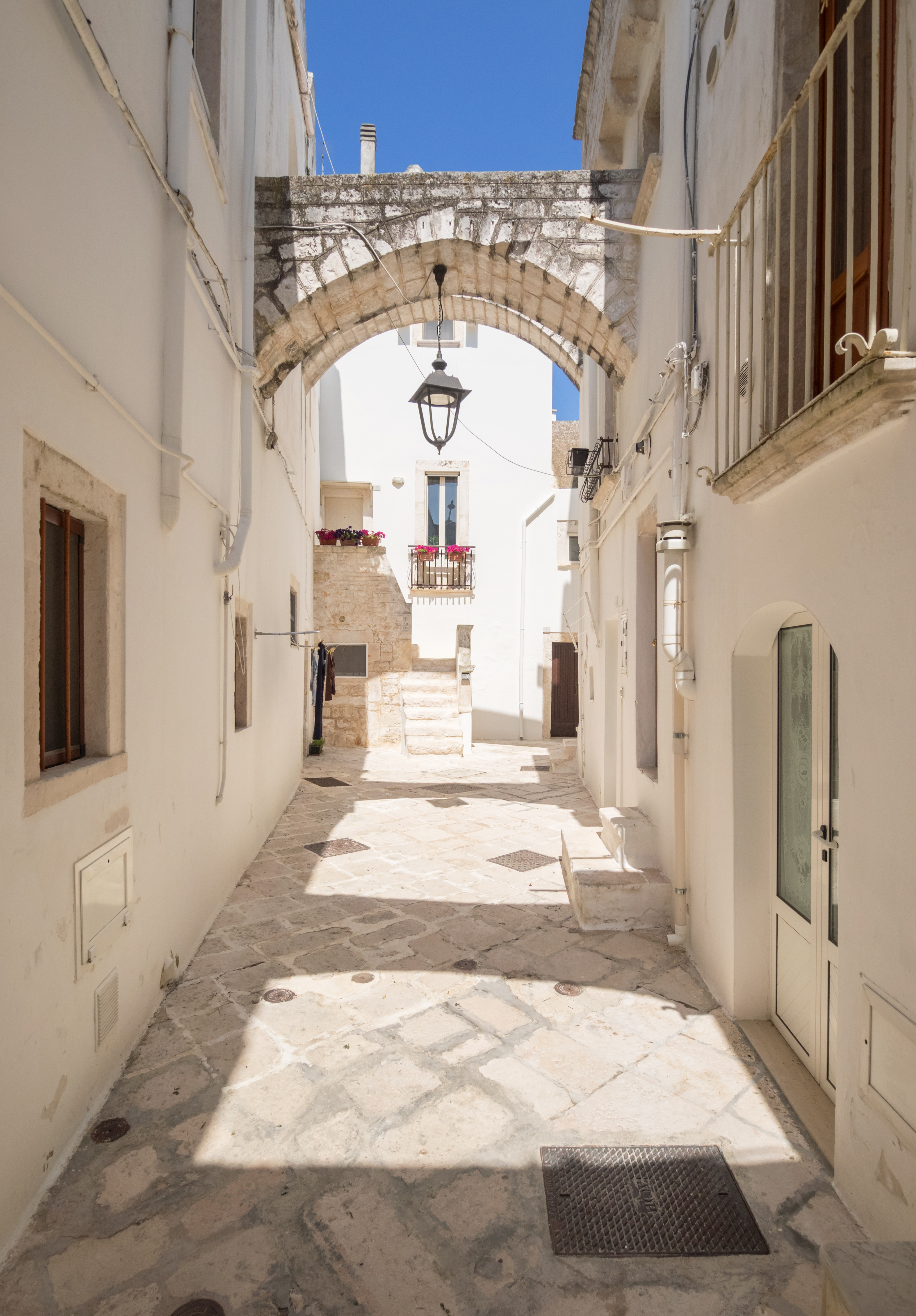 Shutterstock1127571083